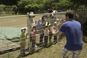 Kindergarten
